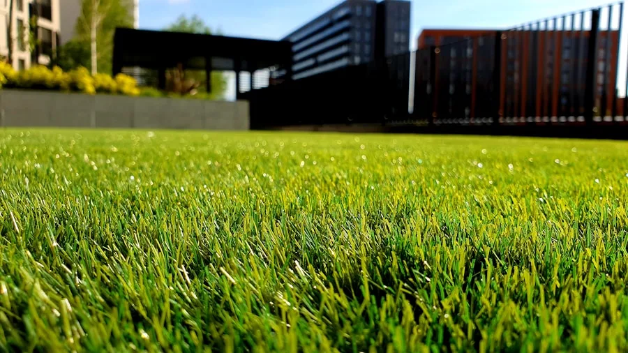 Gartenpflege Neuwied Gartenpflege und Außenanlagenpflege in Neuwied